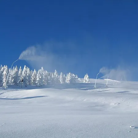 Gasthof-appartements Sportalm Gæstehus *