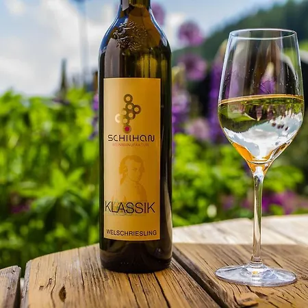 Gæstehus Gasthof-appartements Sportalm *