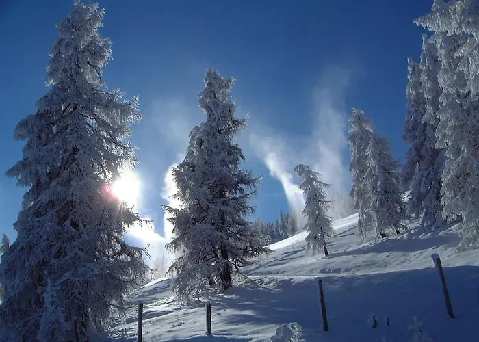 Gasthof-appartements Sportalm *