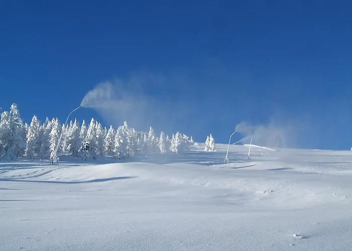 Gasthof-appartements Sportalm Pensión *